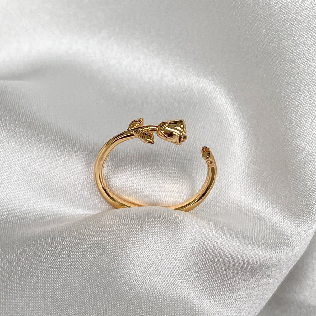 14k Gold Ring INFINITY Rose | A Rose to keep forever | Jewels by House ...