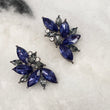 ADE  Rhinestone Petal Earrings - Blue / Black